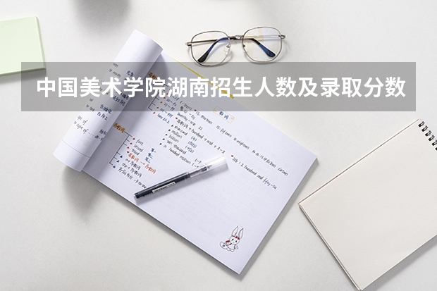 中国美术学院湖南招生人数及录取分数线