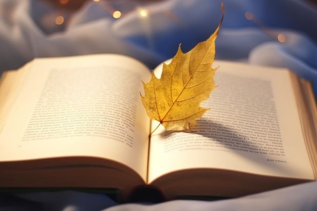 衡阳幼儿师范高等专科学校最低多少分能录取 湖南历年录取分数线
