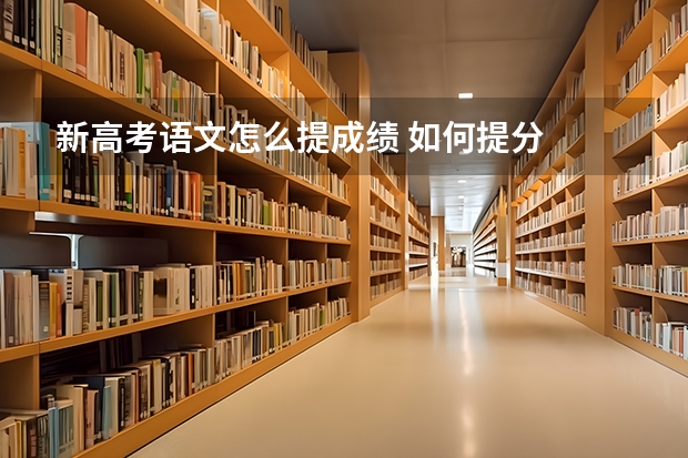 新高考语文怎么提成绩 如何提分