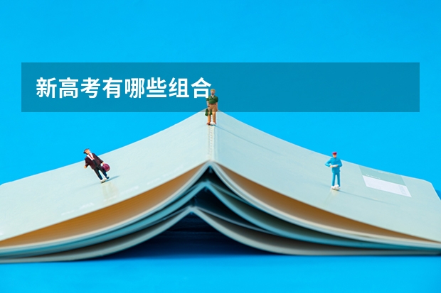 新高考有哪些组合