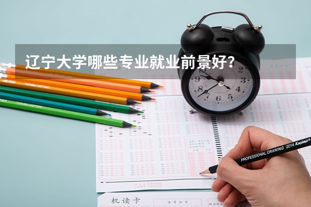 辽宁大学哪些专业就业前景好?