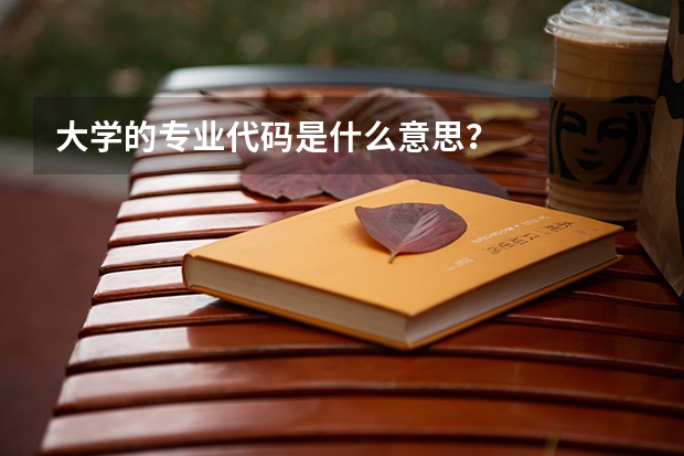 大学的专业代码是什么意思？