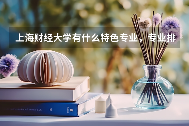 上海财经大学有什么特色专业，专业排名如何