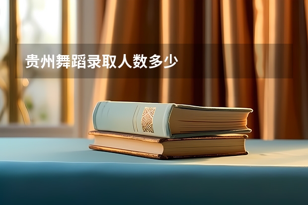 贵州舞蹈录取人数多少