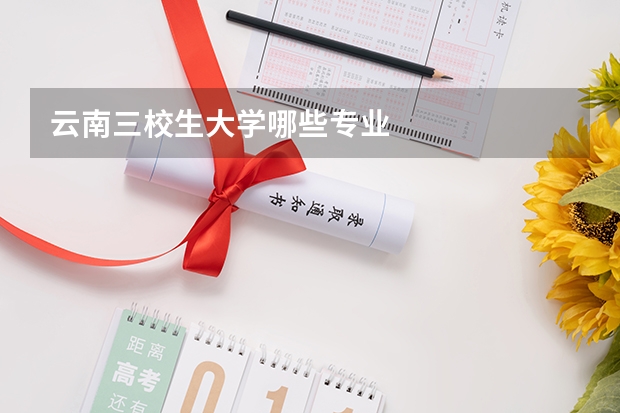 云南三校生大学哪些专业