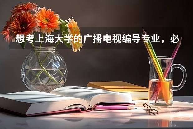 想考上海大学的广播电视编导专业,必须参加艺考吗?