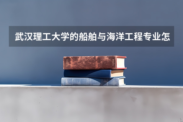 武汉理工大学的船舶与海洋工程专业怎么样？
