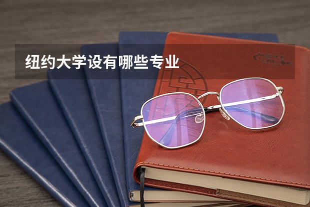 纽约大学设有哪些专业