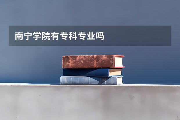 南宁学院有专科专业吗