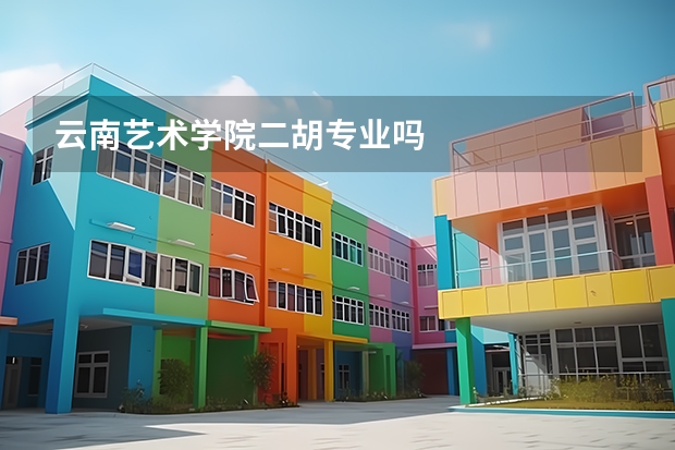 云南艺术学院二胡专业吗