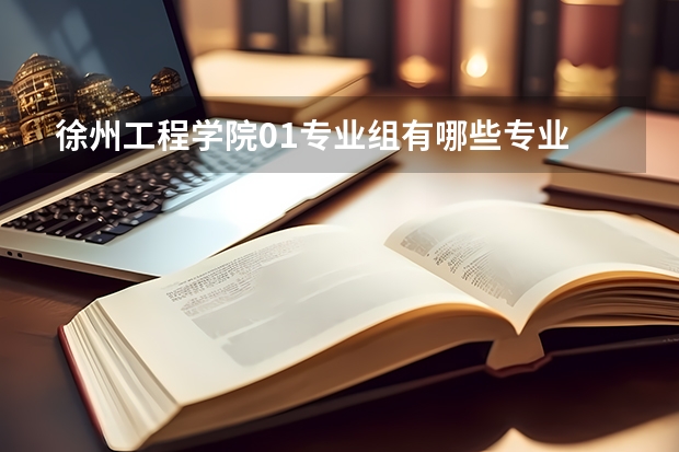 徐州工程学院01专业组有哪些专业