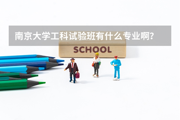 南京大学工科试验班有什么专业啊？