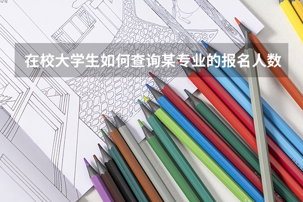 在校大学生如何查询某专业的报名人数呢？