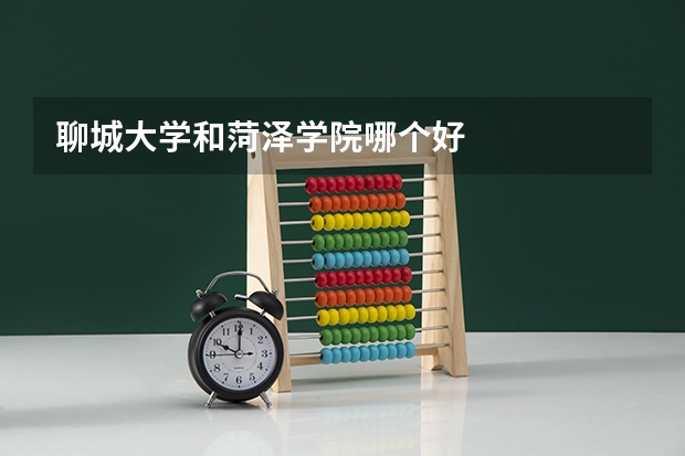 聊城大学和菏泽学院哪个好