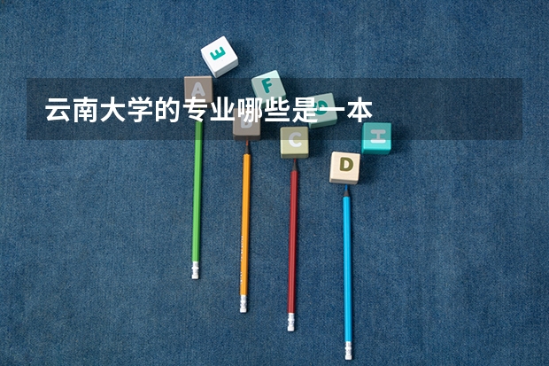云南大学的专业哪些是一本