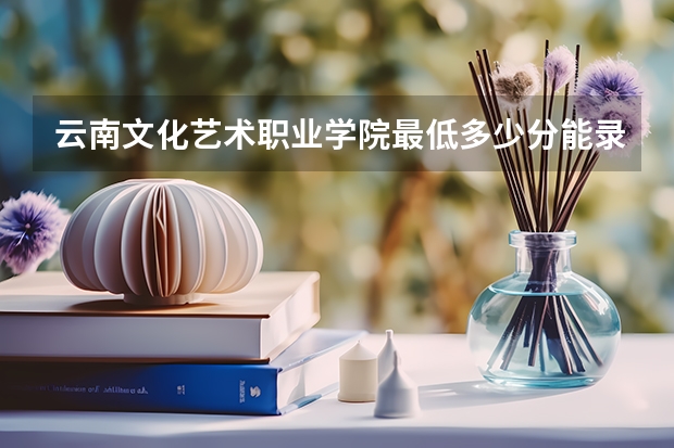 云南文化艺术职业学院最低多少分能录取 云南历年录取分数线