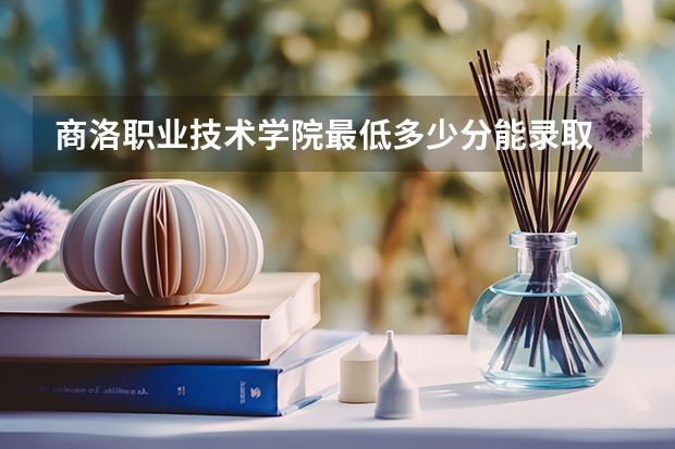 商洛职业技术学院最低多少分能录取 陕西历年录取分数线