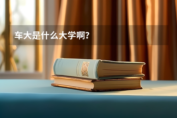 车大是什么大学啊？