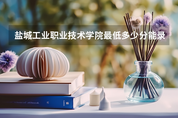 盐城工业职业技术学院最低多少分能录取 江苏历年录取分数线