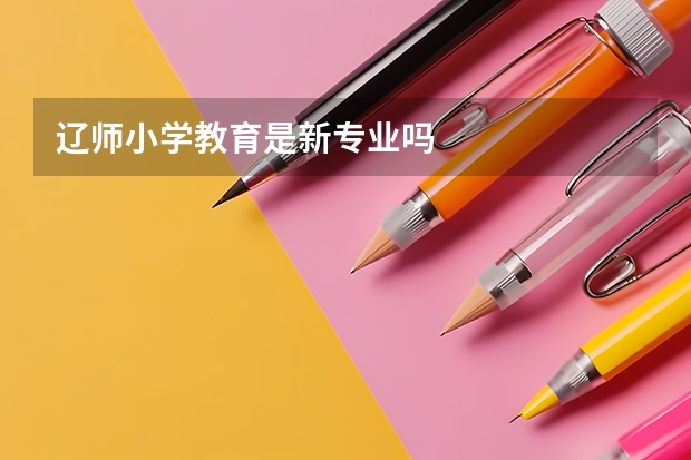 辽师小学教育是新专业吗
