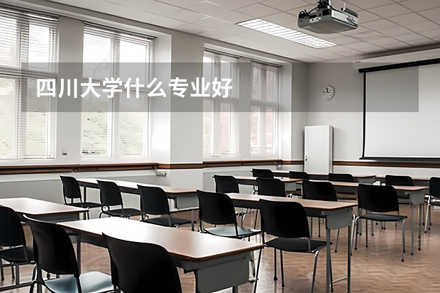 四川大学什么专业好