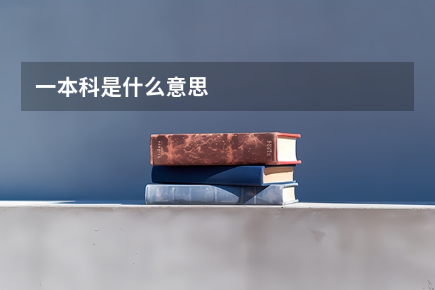 一本科是什么意思