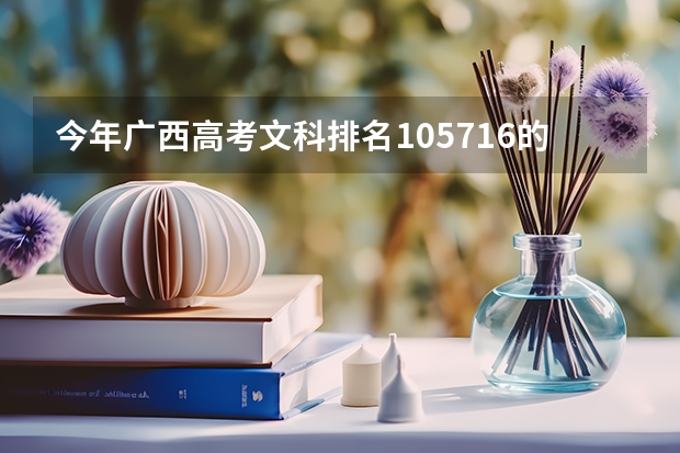 今年广西高考文科排名105716的考生报什么大学