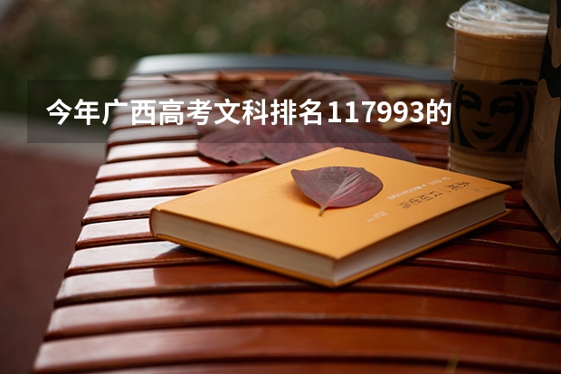 今年广西高考文科排名117993的考生报什么大学