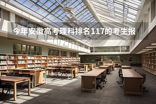 今年安徽高考理科排名117的考生报什么大学