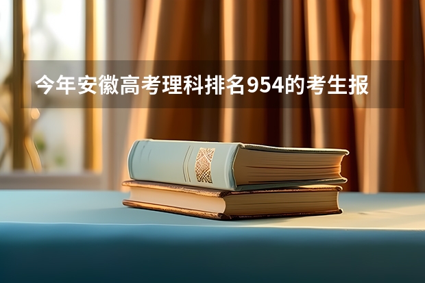 今年安徽高考理科排名954的考生报什么大学