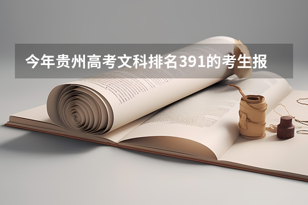 今年贵州高考文科排名391的考生报什么大学