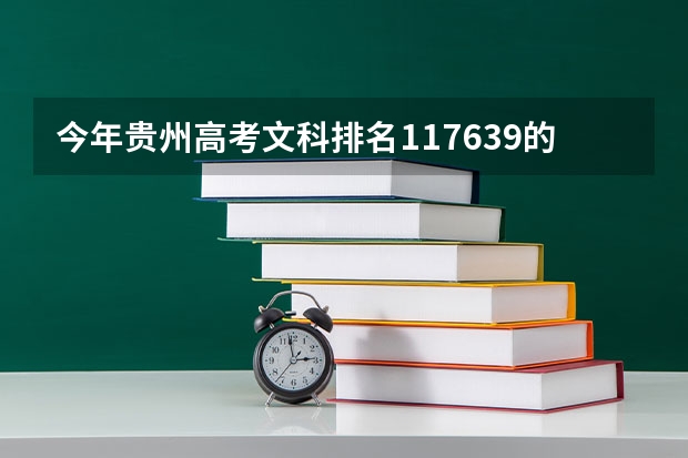 今年贵州高考文科排名117639的考生报什么大学