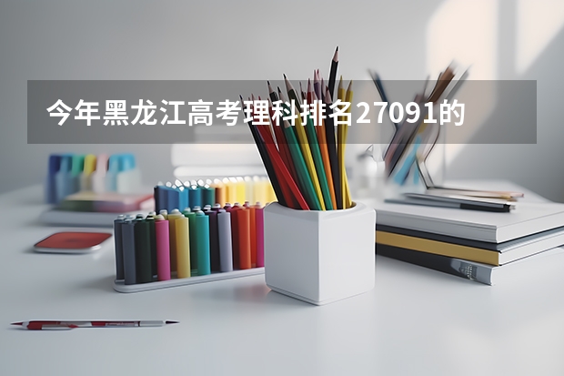 今年黑龙江高考理科排名27091的考生报什么大学