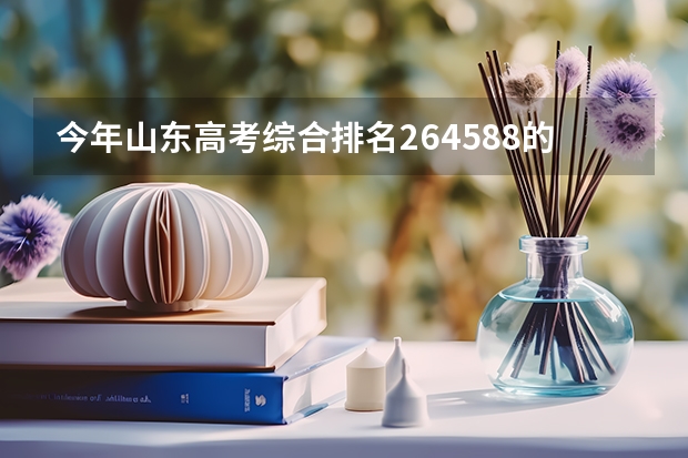 今年山东高考综合排名264588的考生报什么大学