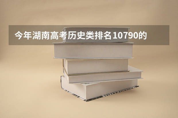 今年湖南高考历史类排名10790的考生报什么大学