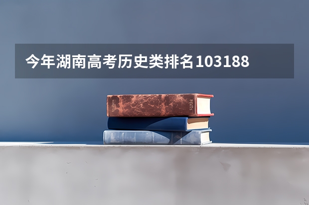 今年湖南高考历史类排名103188的考生报什么大学