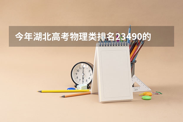 今年湖北高考物理类排名23490的考生报什么大学