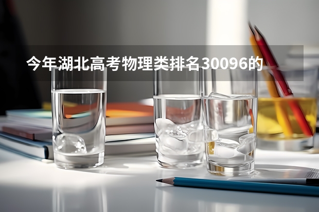 今年湖北高考物理类排名30096的考生报什么大学