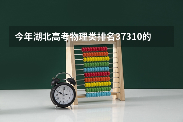 今年湖北高考物理类排名37310的考生报什么大学