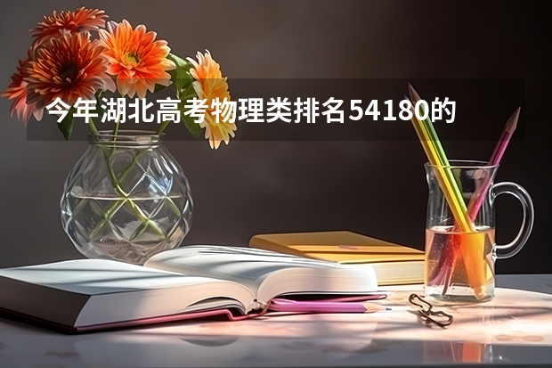 今年湖北高考物理类排名54180的考生报什么大学