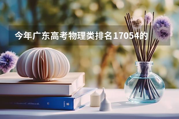 今年广东高考物理类排名17054的考生报什么大学