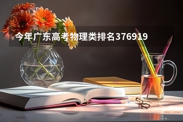今年广东高考物理类排名376919的考生报什么大学