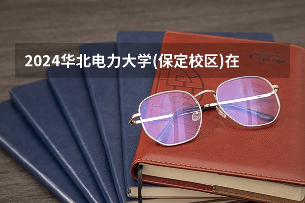 2024华北电力大学(保定校区)在山东招生计划表