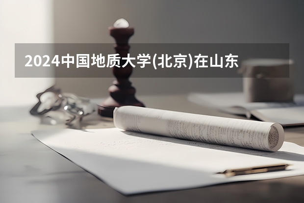 2024中国地质大学(北京)在山东招生计划表