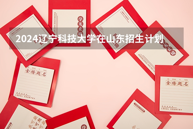 2024辽宁科技大学在山东招生计划表