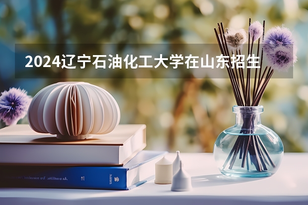 2024辽宁石油化工大学在山东招生计划表