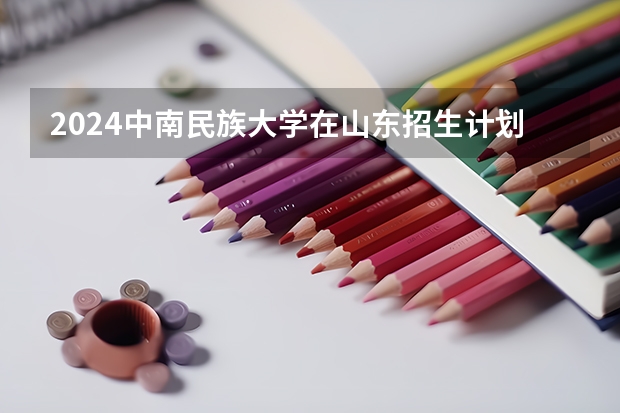 2024中南民族大学在山东招生计划表