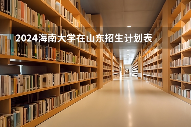 2024海南大学在山东招生计划表