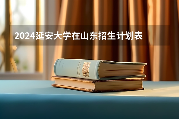 2024延安大学在山东招生计划表