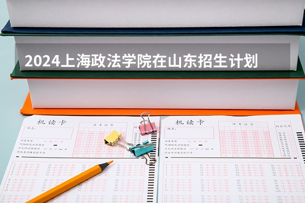 2024上海政法学院在山东招生计划表